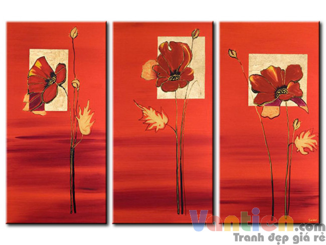 Những Cánh Hoa Poppy Khoe Sắc M0803