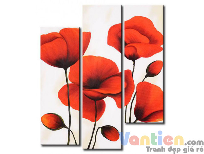 Poppy Khoe Sắc M0876