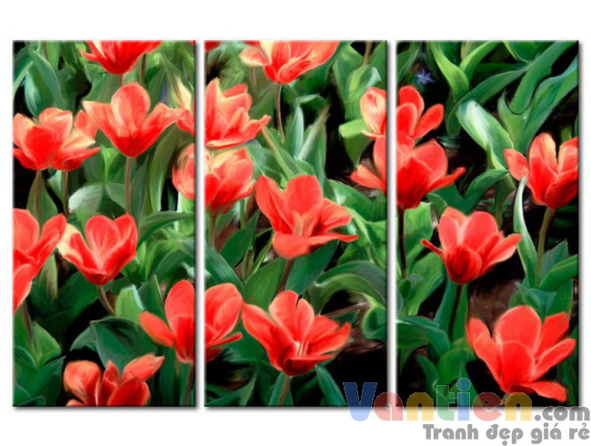 Tulip Khoe Sắc M1208