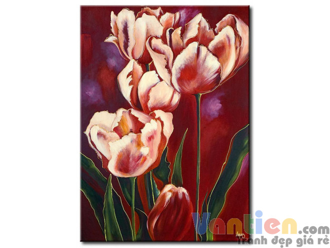 Tulip Khoe Sắc M1235