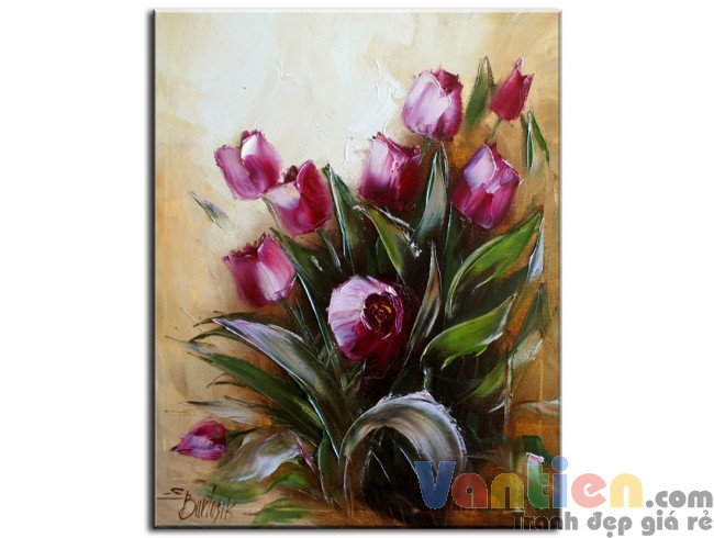 Tulip Khoe Sắc M0447