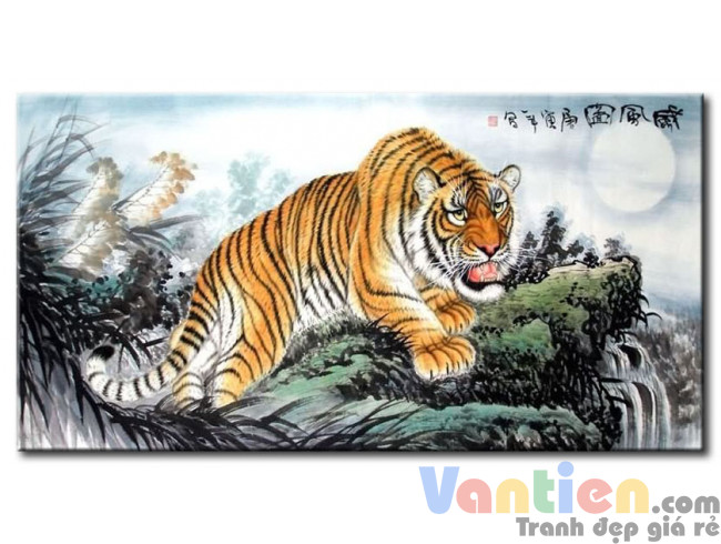 Mãnh Hổ Gầm Vang M0672
