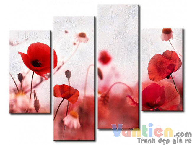 Poppy Khoe Sắc M0731