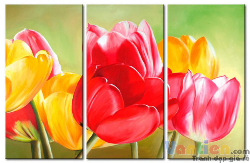 Tranh hoa tulip