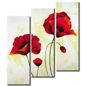 Poppy Khoe Sắc M0893