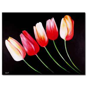 Tulip Khoe Sắc M1228