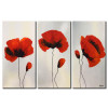 Poppy Khoe Sắc M0861