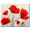 Poppy Khoe Sắc M0983