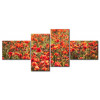 Poppy Khoe Sắc M1002